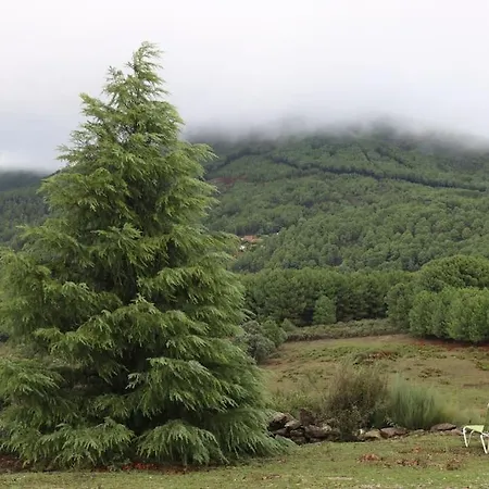 Finca El Encuentro Casa Rural En Gredos Cerca De Candeleda Y Arenas De San Pedro