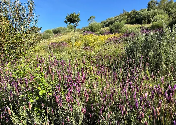 El Encuentro - - 샬레 *