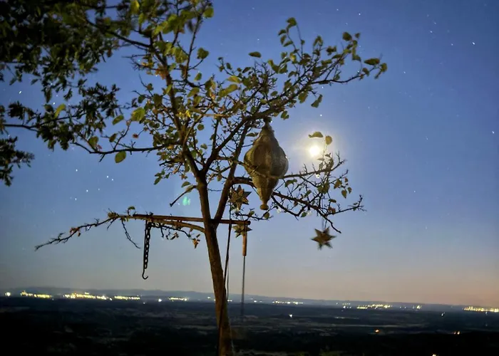 El Encuentro - - 샬레